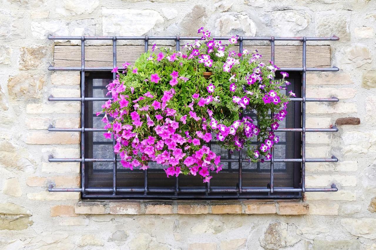 Bed and Breakfast Casale Le Orme Todi Exterior foto